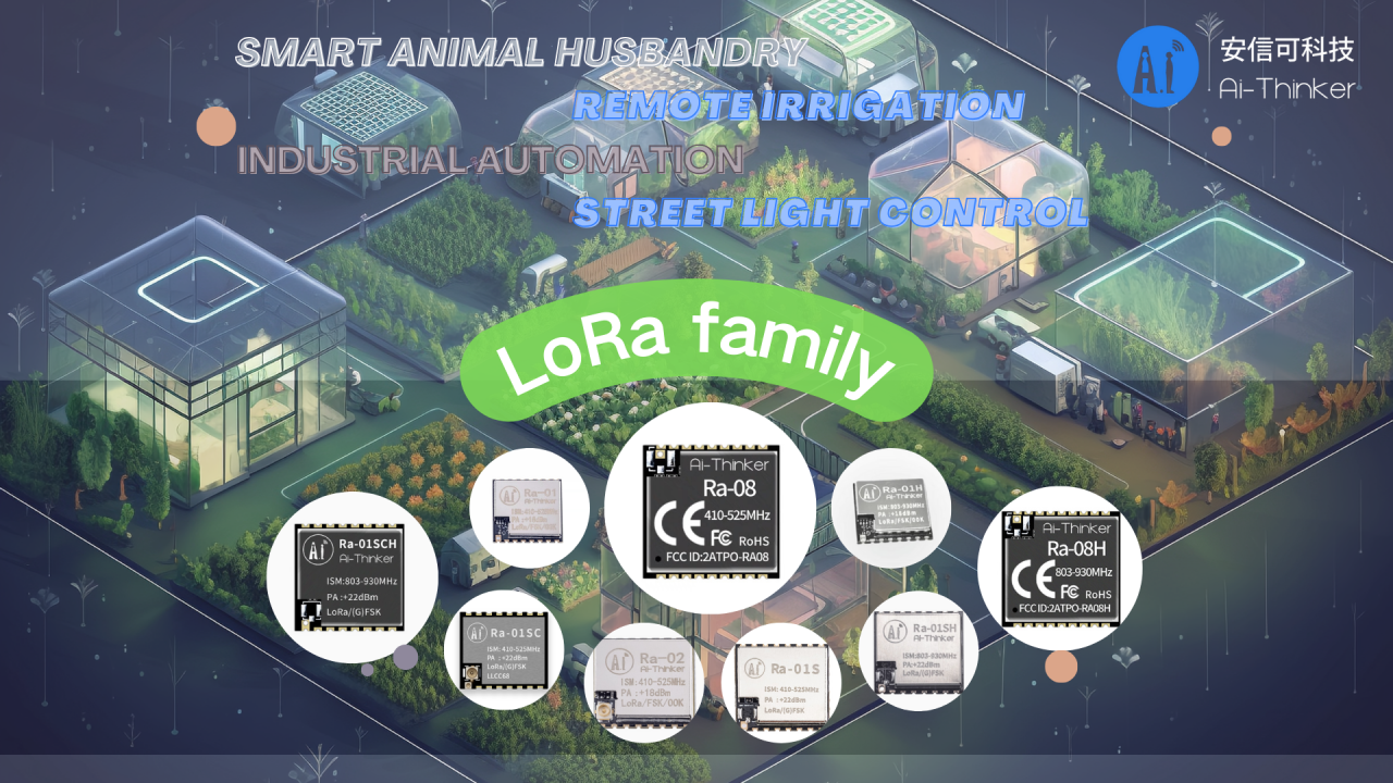 Classic LoRa module