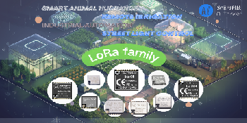 Classic LoRa module