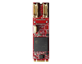 EGPV-1101
